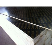 Poplar Plywood/Black Film Faced Plywood/Phenolic Board