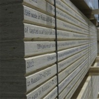 Pine Core LVL Scaffold Board for Building Construction