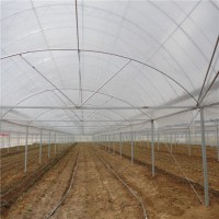 China Venlo Glass/ Polycarbonate Tunnel Greenhouse with Hydroponic Systems