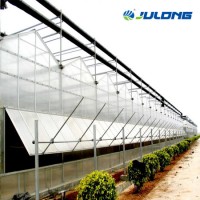 Agriculture Venlo Multi Span Polycarbonate Sheet Greenhouse with Cooling Pad for Tomato/Lettuce/Pepp