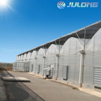 China Hydroponics System Greenhouse for Strawberry Planting House