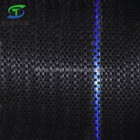 Anti UV Black/Green/White PP/PE/Plastic Woven Geotextile/Ground Cover/Anti Weed Barrier/Control Mat