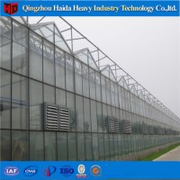 Low Cost Hydroponic System Plastic Film Shed Greenhouse Invernadero for Sale