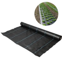 PP/PE Woven Weed Mat Weed Prevent Fabric Agriculture Weed Control Landscape Fabric