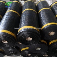 5~8 Years Agricultural/Landscape Garden Biodegradable Plastic/PP/PE Woven Geotextile/Ground Cover/An