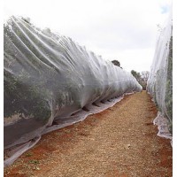 High Quality Anti Bee Netting Hail Net for Fruit Tree