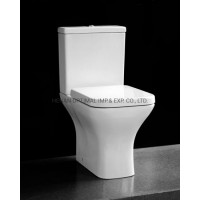 European Design Washdown Flushing P-Trap 180 mm Two-Piece Sanitary Ware Toilet (No. OM-022)