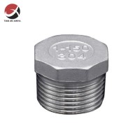 Thread Casting Pipe Fitting OEM Design Male Stainless Steel 304 316 Hex Plug Pipe/Plumbing/Press/Gi/