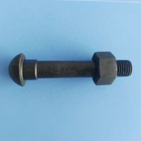 Rail Fish Bolt for Rail Fishplate with Nut & Washer