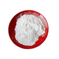 Factory Price CAS 13463-67-7 TiO2 Titanium Dioxide Powder