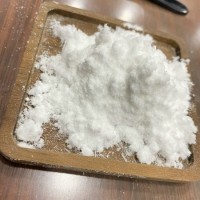 CAS: 9064-67-9 Collagen Powder