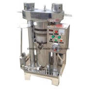 Hydraulic Vegetable Fruit Seeds Oil Screw Press Mill Machine (WS6YL)
