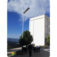 40W LED Integrated Solar Powered Streetlight System (SNSTY-240)