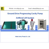 Complements NBR 16464 (Oil and natural gas industry - Progressive cavity pump systems for artificial