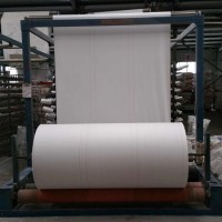 China Supply White High Tensile Strength Virgin Coated Laminated Bag Sack Tubular Polypropylene PP W