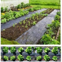 Woven Plastic Weed Mat/Garden Fabric/Agriculture Fabric