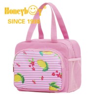 Insulated Lunch Bag Cooler Multi Color Waterproof Nimal Bags Women Portable Functional Polyester The