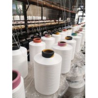 China High Shrinkage Polypropylene Corchet for Knitting 120d DTY Twisted Yarn Rayon Tassel Cord PP D