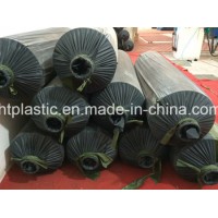 PVC Film with Higher Qualty and Different Sizes