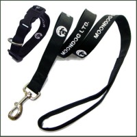 Personalized Logo Retractable Polyester/Nylon Pet/Cat/Dog Leash for Cats