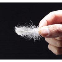 China Factory / Manufacturer Longer Than 10cm Washed White Goose Feather