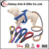 Climbing Rope Dog Leash Cusotm Polyester Rope Large Breed Leash for Sale