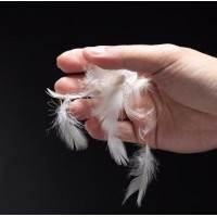 China Factory/Manufacturer Longer Than 10cm Washed Grey Duck Feather