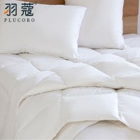 5 Star Custom King Size Cotton Fabric Polyester Fill Four Season Use Bed Quilt
