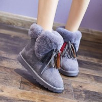 Boots Women's Boots with Real Wool and Down Autumn Winter Korean Version of Joggings Cotton Sho