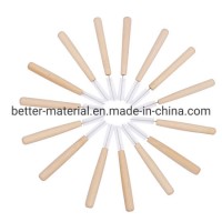 10 PCS Pack High Quality CE ISO Approved Dental Soft Picks Bamboo Interdental Brush