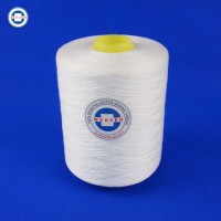 100% Polyester Sewing Thread Semi Dull Ne 16/2