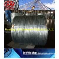 High Carbon Steel Wire/Spring Steel Wire/Galvanized Steel Wire/Stainless Steel Spring Wire /Steel Wi