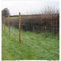 Animal Fence Wire Mesh and Grassland Field Fence Stretcher