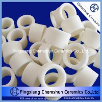 Alumina Ceramic Raschig Ring as Catalyst Carrier and Chemical Packing