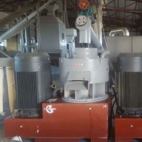 800-1000kg/H Biomass Fuel Soft Pine Wood Sawdust Pellet Production Line