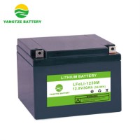 12V 30ah Lithium Ion Battery Pack