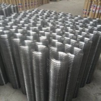 Galvanized Welded Wire Mesh Used in Industry