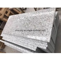 Biaco Sardo/G439/Big White Flower Granite Tile for Floor Tile/Counter Top/Work Top/Vanity Top