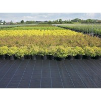 China Supplier 100g PP Woven Ground Cover Landscape Fabric