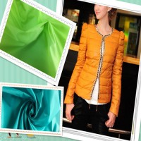100% Nylon Taffeta Fabric for Garment Fabric Down Jacket Fabric