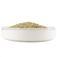 Natural Plant Clumping Litter Highly Absorbent Strip-Shaped Tofu Cat Litter