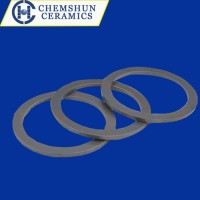 Pressureless Sintered Silicon Carbide Ceramic Seal Ring as Wear Resistant Ssic Plate
