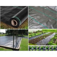 Wholesale Black PP Woven Geotextile Weed Control Mat