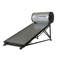 Thermosiphon Pressurized Flat Plate Solar Water Heater 300L SUS304 Tank
