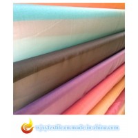Organza Polyester Fabric  Woven Fabric  Textile for Garment
