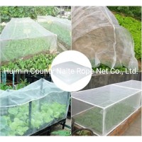 HDPE White Color 75GSM Insect Netting for Vegetable Gardens  Plants