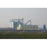 Turnkey Maize Corn Starch Machine  Corn Wet Milling Factory Supplier
