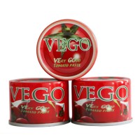 Organic Tomato Paste From China Manufacturers-Vego Brand