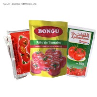Wholesale Tinned Tomato Sauce Ketchup Canned Factory Price