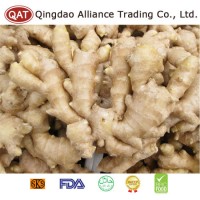 Fresh Fat Ginger with Good Quality and Competitive Price